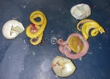 photo two